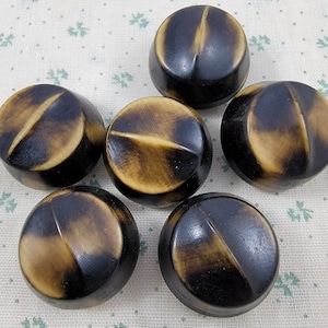 May include: Six brown and beige buttons with a raised design. The buttons have a smooth, glossy finish.