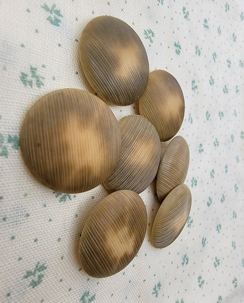 Vintage La Mode Lined Brown Composition Buttons With Self Shanks - Set ...