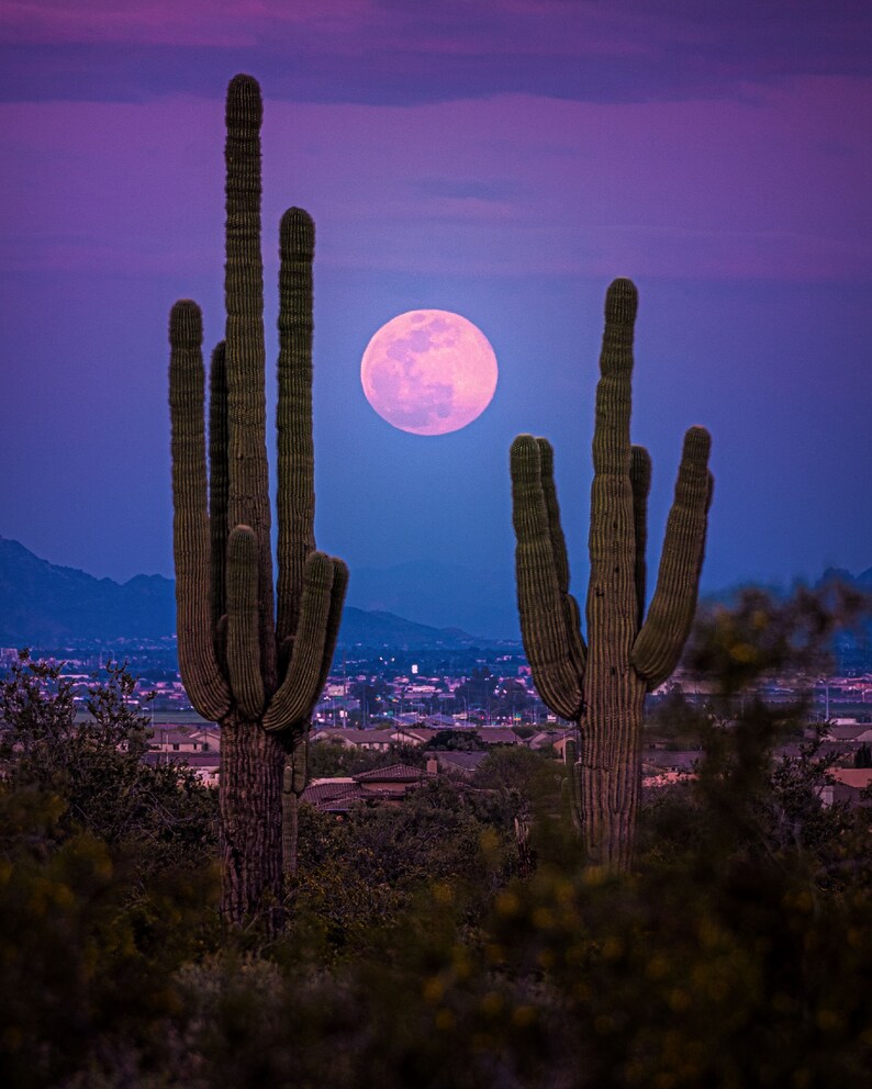 All 98+ Images when is the next full moon in phoenix arizona Full HD, 2k, 4k