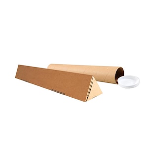 Pu&ograve; includere: Un tubo di cartone marrone con un tappo triangolare di cartone. Il tubo &egrave; aperto da un'estremit&agrave; e ha un coperchio di plastica bianco.