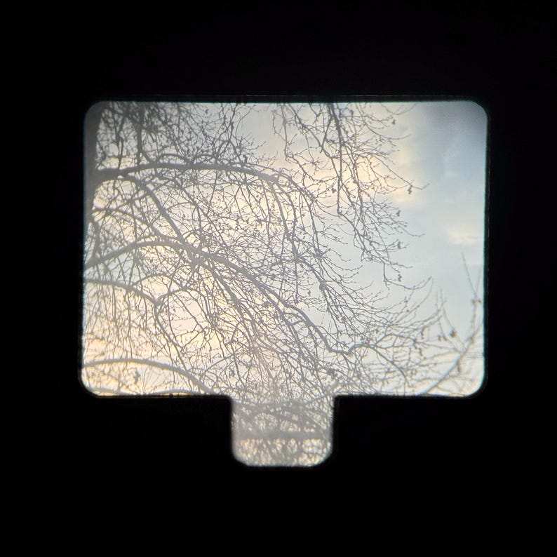 May include: A view through a window frame, showing bare branches of a tree against a cloudy sky.