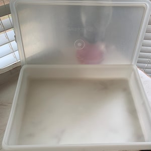 May include: A clear, rectangular plastic container with a matching lid. The lid is slightly ajar, revealing the interior of the container. The container is made of a translucent plastic material.
