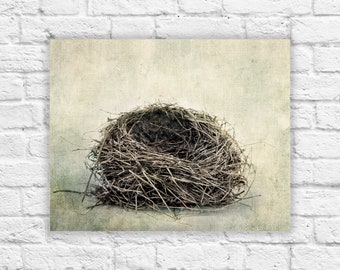 Bird Nest large canvas or print, bird's nest print, detailed close up photo. Fine art big canvas, nature art for living room.