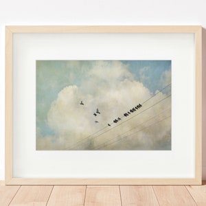 Birds on a Wire print or canvas, bird wall art, cloud art, nature decor, bird decor, whimsical nature print, bird photo print