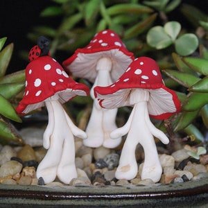 Mushroom Garden Deco, Red Cap Mushroom, Miniature Garden Decor, Miniature Garden Gnome, Ladybug Garden, Hippie Room Deco, Snail, Caterpillar