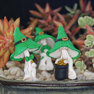 May include: Three whimsical mushroom figurines, each with a white stem and a green cap adorned with a black band and gold buckle. One holds a pot of gold. They are set in a decorative planter with small stones and surrounded by colorful succulents.