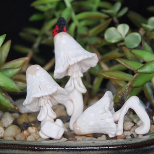 May include: Three white ceramic mushrooms with a ladybug on top of one of the mushrooms. The mushrooms are sitting on a bed of small white stones in a brown pot.