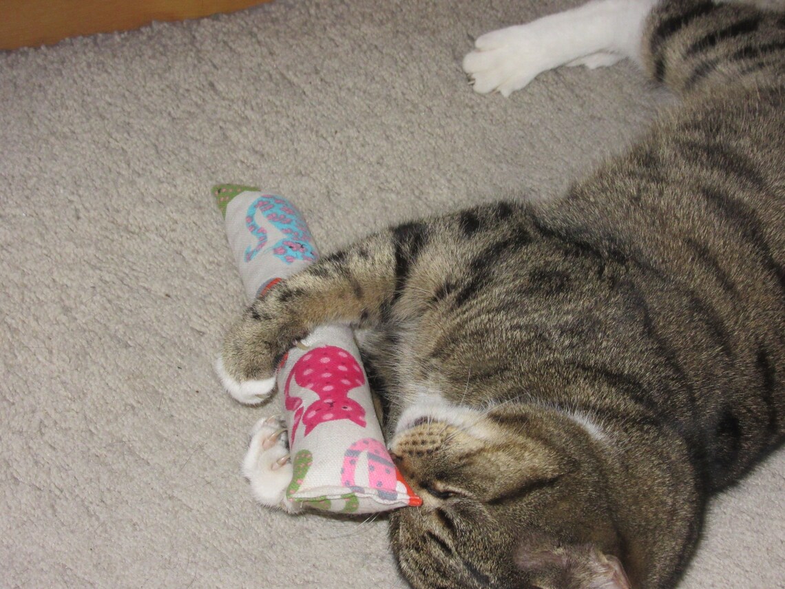 Cat Kick Stick Set Catnip Kick Toys Cat Kick Toy Blue Cat Etsy