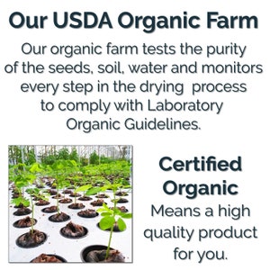 Puede incluir: Primer plano de una hilera de plantas j&oacute;venes que crecen en un invernadero. Las plantas est&aacute;n en macetas negras y est&aacute;n rodeadas de hojas verdes. El texto "Certified Organic" es visible en la imagen. El texto "Means a high quality product for you." tambi&eacute;n es visible en la imagen.