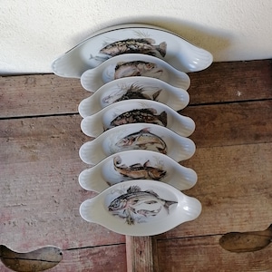 Fischschalen Set , Sechs-Personen-Teller-Service , Gerichte mit sechs verschiedenen Fischen , Italienisches Porzellan , Meeresfrüchte-Set