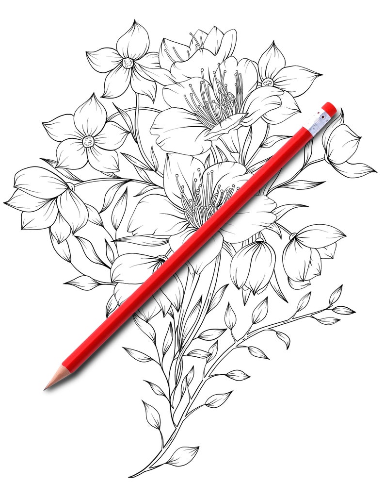 Download Adult Coloring Book Botanicum Flowers Digital Coloring 15 ...