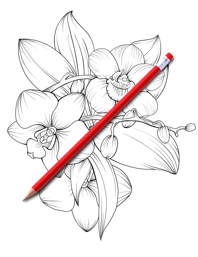 Download Adult Coloring Book Botanicum Flowers Digital Coloring 15 ...