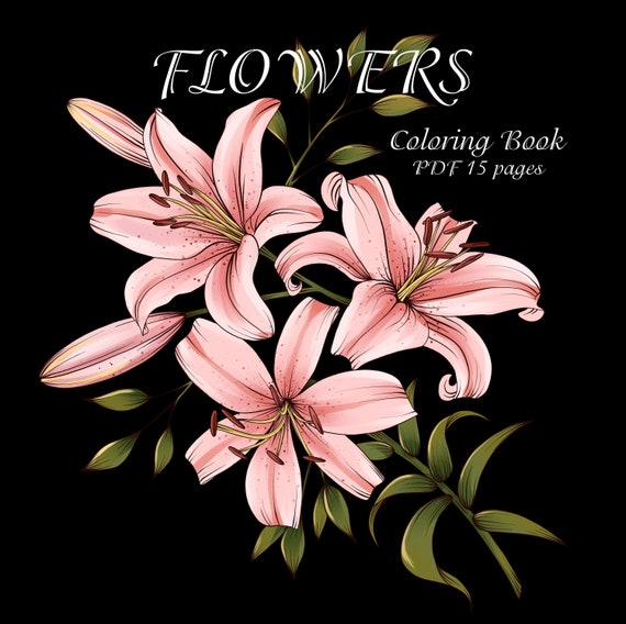 Download Adult Coloring Book Botanicum Flowers Digital Coloring 15 Pages Printable 8 5 X 11 Pdf