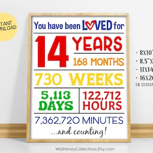 You Have Been Loved For 14 Years, Printable Poster, 14th Birthday, Printable Sign, Colorful Birthday Sign, INSTANT DIGITAL DOWNLOAD
