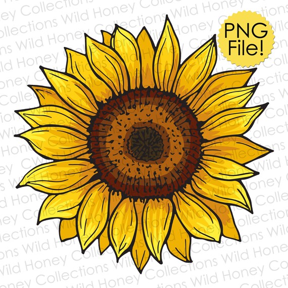 Free Free 102 Clipart Sunflower Png SVG PNG EPS DXF File