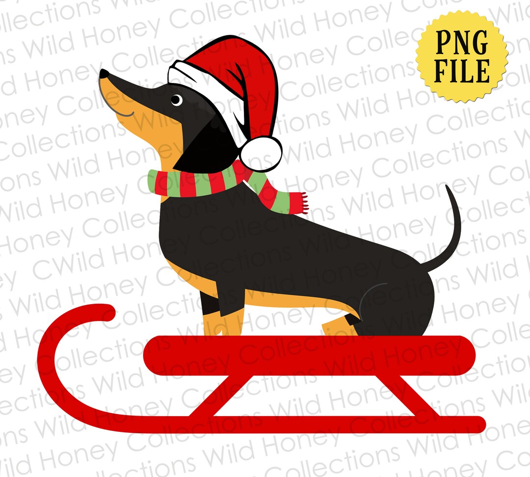 Dachshund on A Sled, Transparent PNG File, Christmas Dachshund, Santa ...