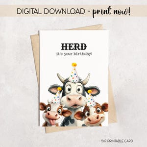 以下が含まれることがあります： パーティーハットをかぶった3匹の漫画の牛が描かれた、5x7サイズの印刷可能な誕生日カード。「HERD it's your birthday!」と書かれています。「DIGITAL DOWNLOAD - print now!」の文字が上部にあります。