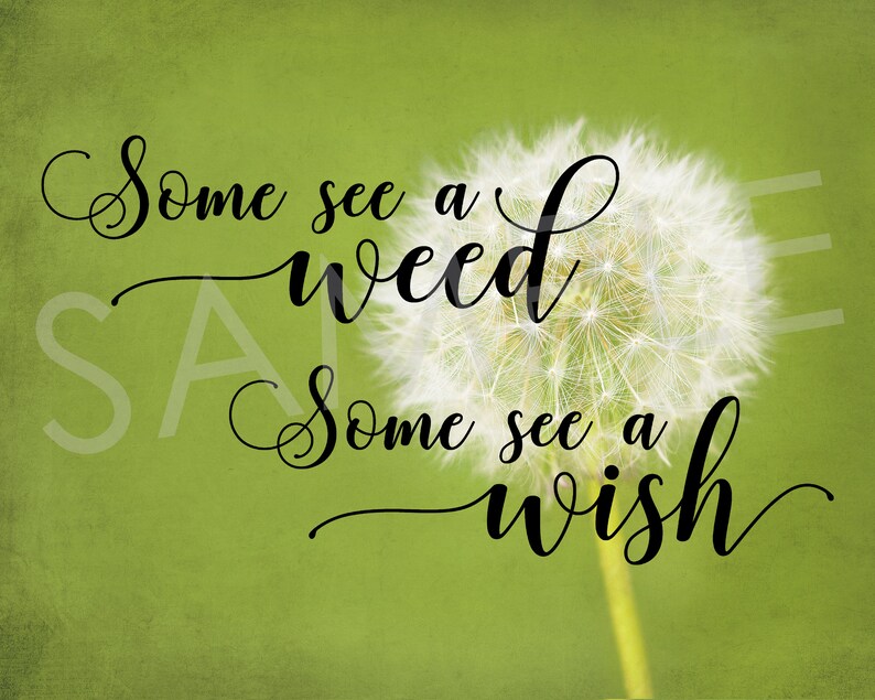 Some See A Weed Some See A Wish Dandelion Picture Printable Etsy
