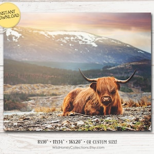 Highland Cow Photo, Digital File for PRINTING, Farmhouse Printable, Farmhouse Decor, Cow Lover, Hairy Cow, Instant DIGITAL DOWNLOAD