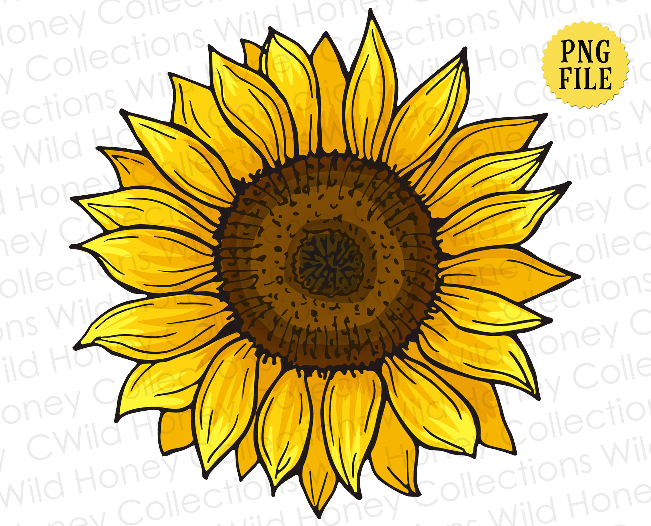 Large Sunflower Clipart Pictures