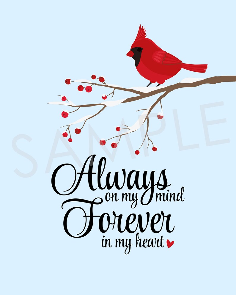 My Image 15
