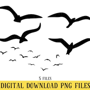 Bird Silhouettes, PNG Files, Seagulls, Sea Birds, Tropical Birds, Transparent Files, Crafting, Sublimation, DIGITAL DOWNLOAD