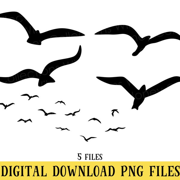 Bird Silhouettes, PNG Files, Seagulls, Sea Birds, Tropical Birds, Transparent Files, Crafting, Sublimation, DIGITAL DOWNLOAD