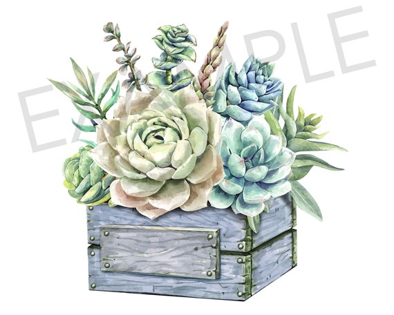 873/抽象画風/多肉植物/S4号 水彩多肉植物アートプリント：ボタニカルデコレーション 3枚セット