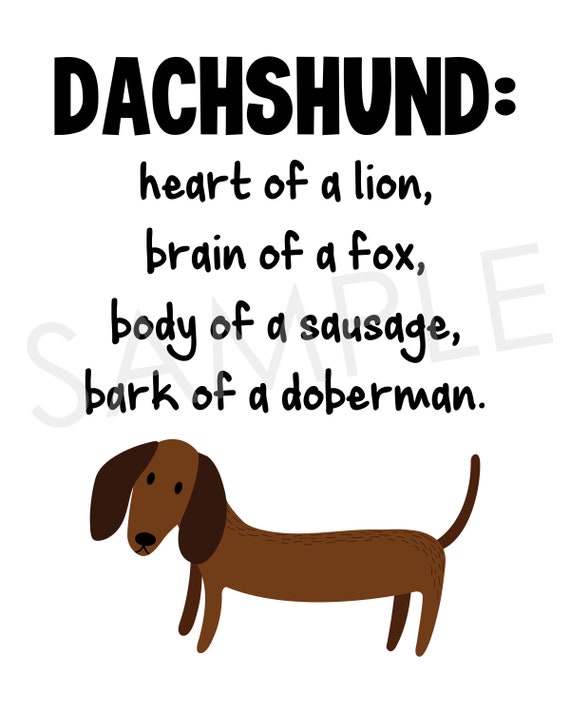 Dachshund Heart Of A Lion Brain Of A Fox Body Of A Sausage Etsy