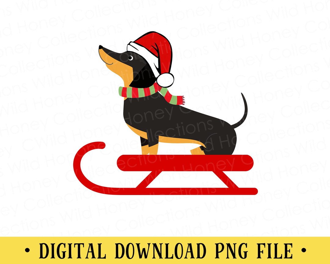 Christmas Dachshund PNG | Doxie With Santa Hat | Dachshund on a Sled ...