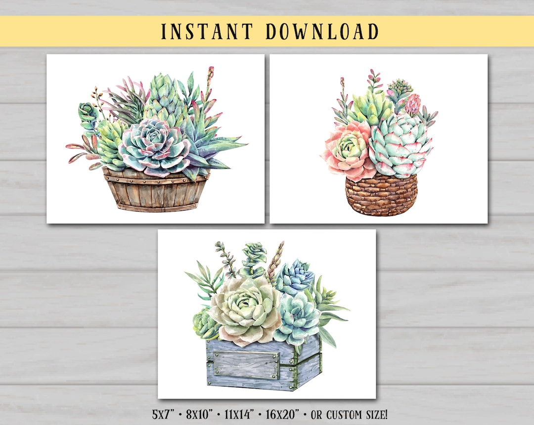 Succulent Printable Art, Watercolor Succulents, Set of 3, Plant Decor, Botanical Wall Art ...