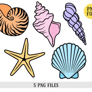 Könnte beinhalten: Illustration von fünf farbenfrohen Meeresmotiven: Muscheln und Seestern. Das Bild zeigt ein Nautilus-Gehäuse mit orangefarbenen und schwarzen Streifen, eine rosa Muschel, eine lavendelfarbene Spiralschale, einen gelben Seestern und eine blaue Jakobsmuschel. Der Text "PNG FILE" befindet sich in einem gelben Kreis.