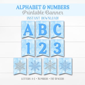 Printable Winter Theme Banner, Blue Silver, Snowflakes, Winter Wonderland, Winter Birthday Banner, INSTANT DIGITAL DOWNLOAD