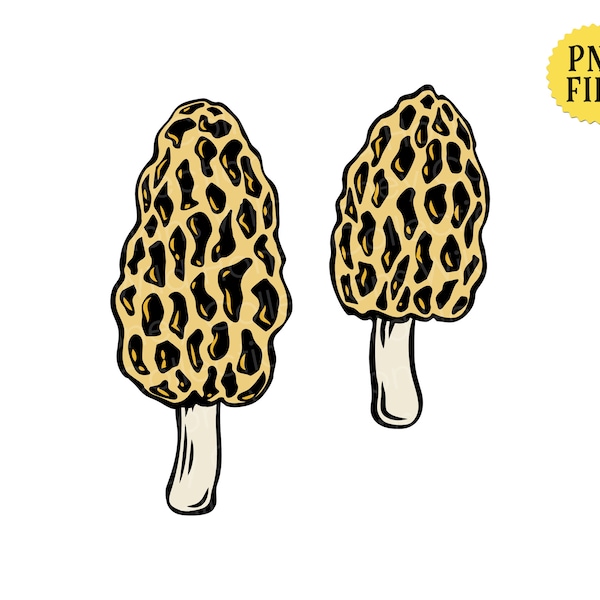 Morel Mushroom Png Etsy