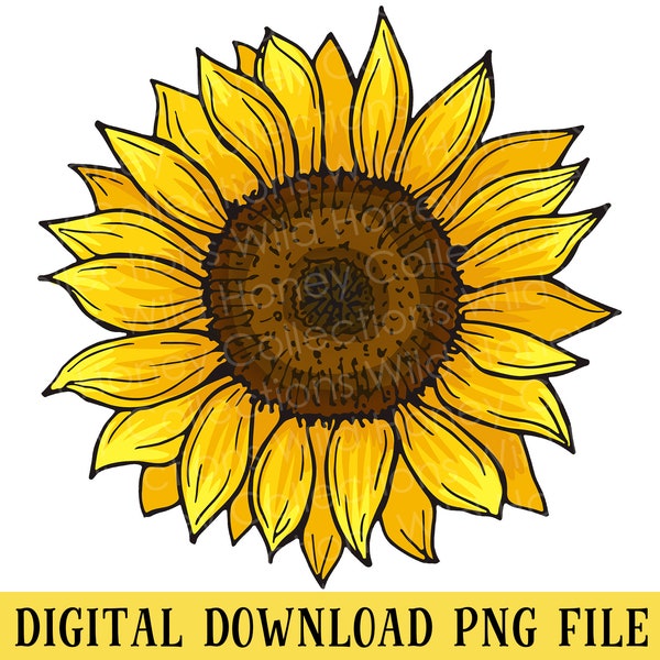 Sunflower, PNG File, Sunflower Clipart, INSTANT DOWNLOAD