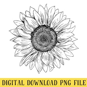 Sonnenblume, PNG-Datei, handgezeichnete Sonnenblume, Kansas State Flower, Basteln, Sublimation, INSTANT DOWNLOAD