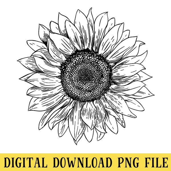 Sunflower, PNG File, Hand-Sketched Sunflower, Kansas State Flower, Crafting, Sublimation, INSTANT DOWNLOAD