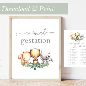 Jeux des bois Gestation des animaux Carte de fête prénatale Fille Impression Forêt Animal Faon Renard Écureuil Fête Imprimable Woodland Game Decor Décoration