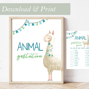 Llama Game Animal Gestation Baby Shower Game Cards Llama Alpaca Baby Shower Green Blue Animal Set Boy Games Cards Ready To Print and Cut