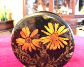 Vintage Lucite Napkin Letter Holder in Clear Resin with Dried Natural Flowers