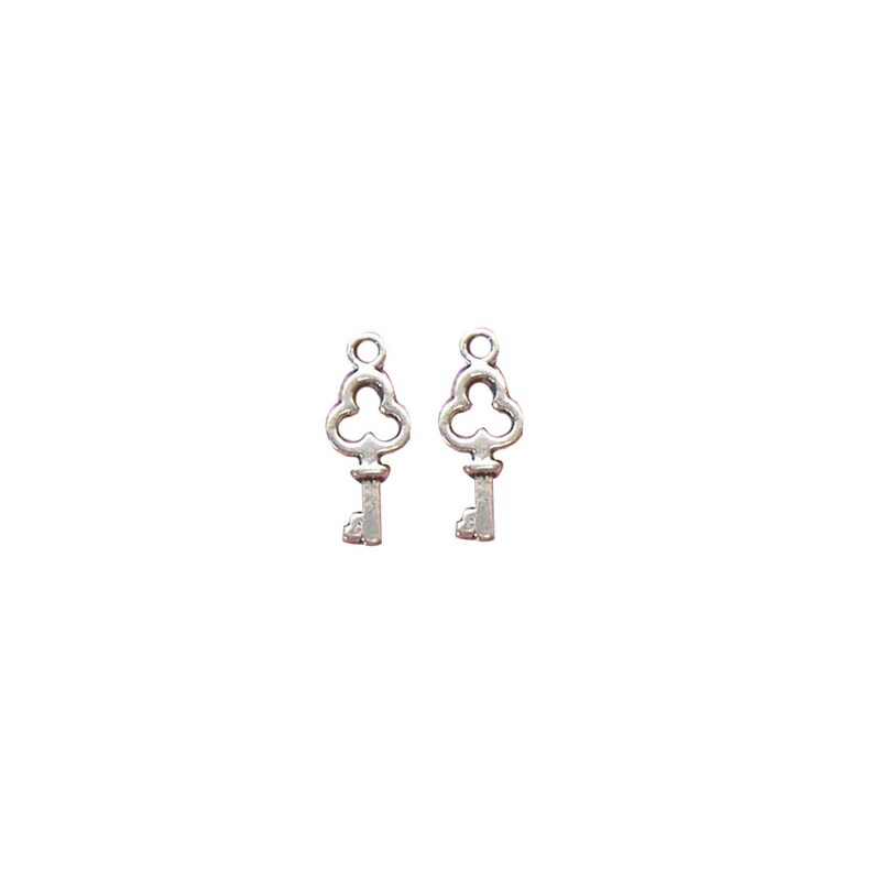 20/60pcs Tibetan Silver Key charms pendentifs Artisanat Jewelry Findings 20/60pcs Tibetan Silver Key charms pendentifs Artisanat Jewelry Findings