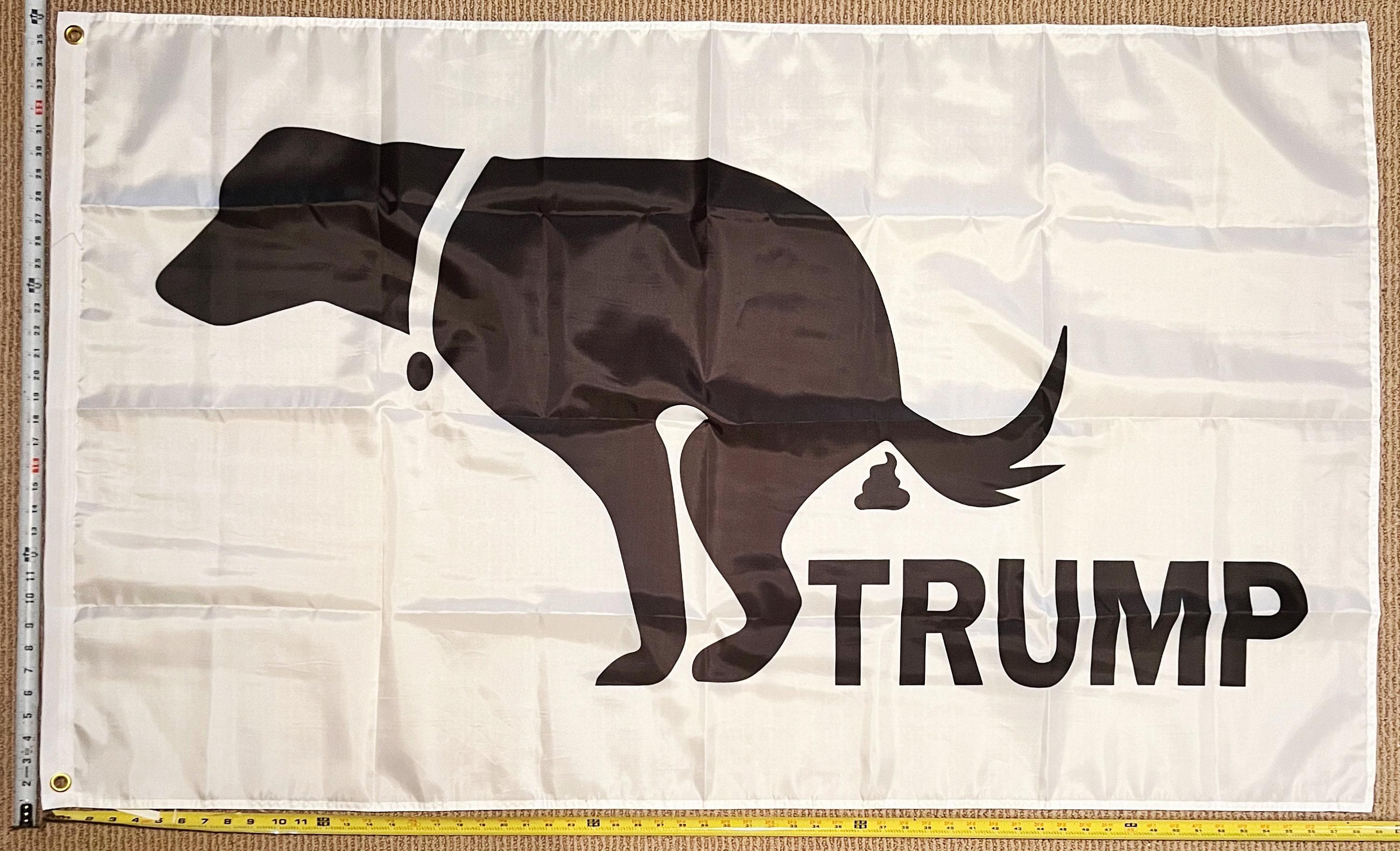 "Hold On Dumpin A Trump" Political Sticker | 4x4 Inch Glossy Vinyl Bumper Decal - Anti-Trump Progressive Message