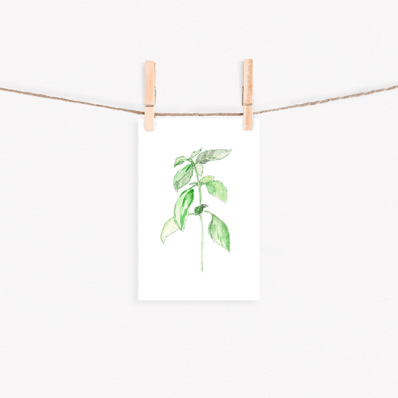 Basil Herb Wall Art, Basil Herb Art, Basil Watercolor, Herb Watercolor