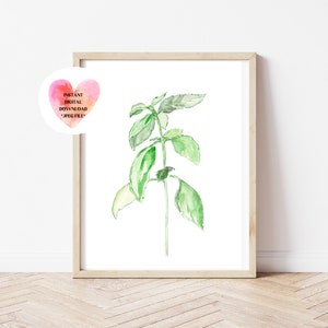 Basil Herb Wall Art, Basil Herb Art, Basil Watercolor, Herb Watercolor, Basil Art Print, Basil Print, Basil Kitchen Decor, Basil Printable