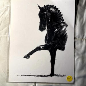 Peut inclure: Dessin en noir et blanc d'un cheval se cabrant sur ses pattes arrière. Le cheval porte une bride et a une crinière et une queue. Le dessin est signé par l'artiste, "Sally Sullivan 1981".