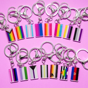 May include: A set of 14 keychains featuring different pride flags, including the transgender, lesbian, gay, bisexual, pansexual, asexual, and non-binary flags. The keychains are silver and have a circular ring.