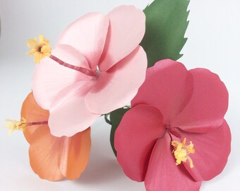 Download 3d Hibiscus Svg Etsy PSD Mockup Templates