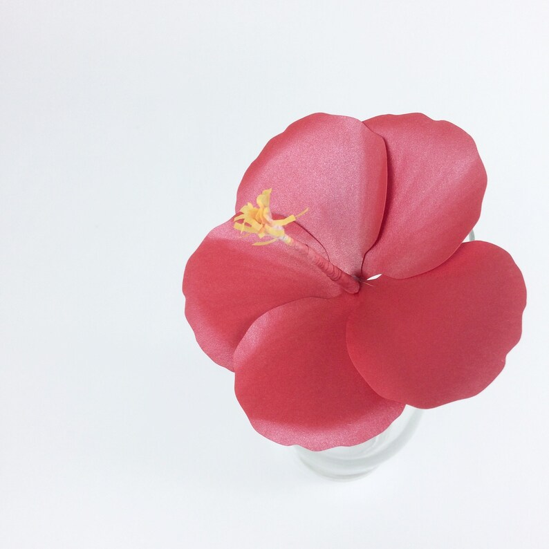 Download Hibiscus Paper Flower Template SVG Paper Flower 3D Paper ...