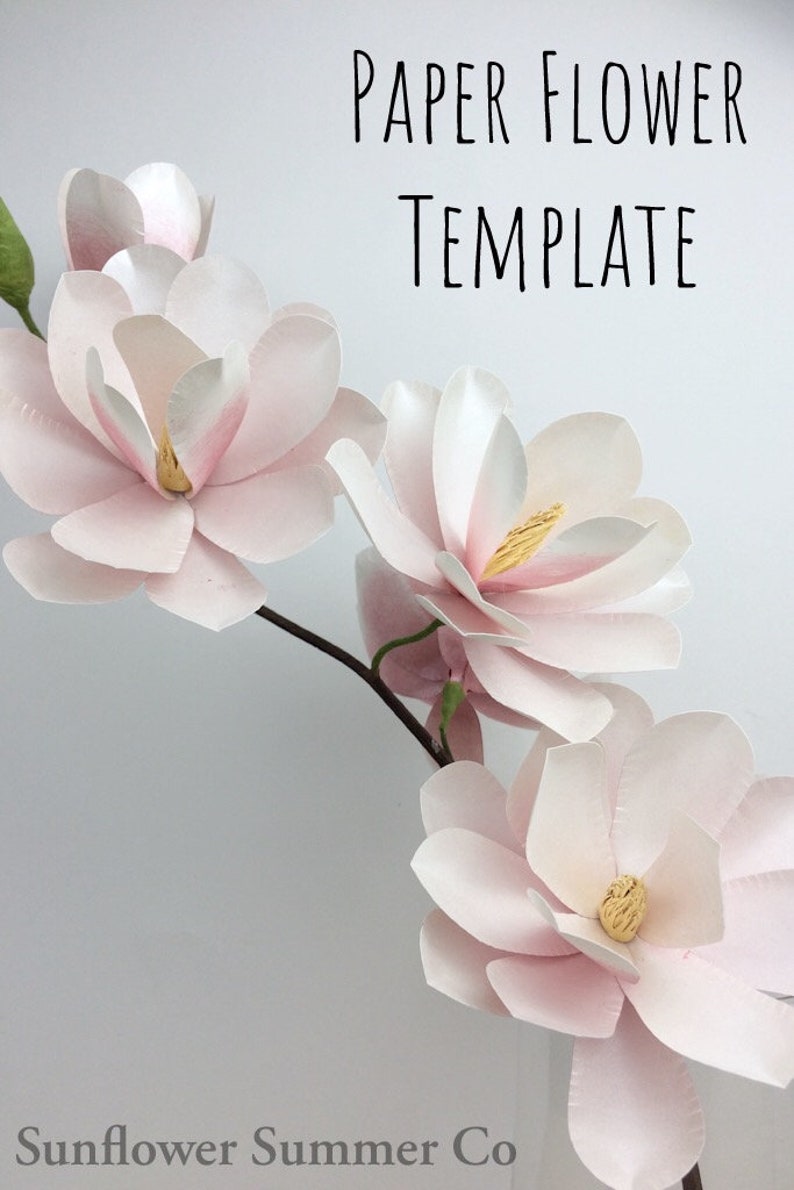 Free Free 258 Magnolia Flower Svg Free SVG PNG EPS DXF File