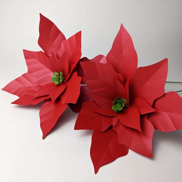 Poinsettia Paper Flower Template- Paper flower template - SVG - Small paper flower- 3d